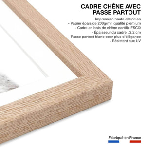 Affiche enfant bébé raton laveur  Affiche + cadre en bois - Chêne