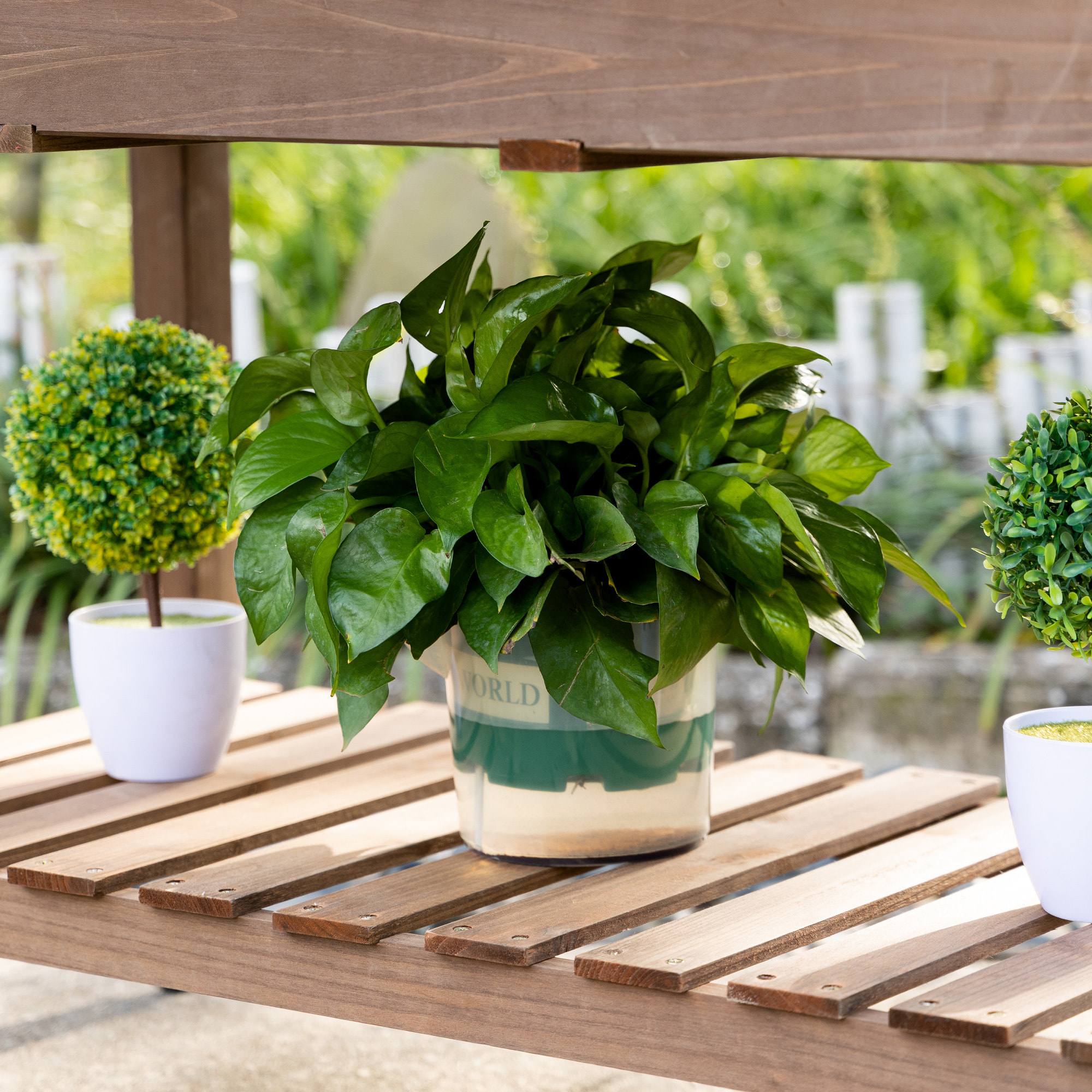 Jardinière sur pied - potager sur roulettes - étagère, tablette rabattable, inserts d'irrigation, feutre drainage - bois pré-huilé foncé