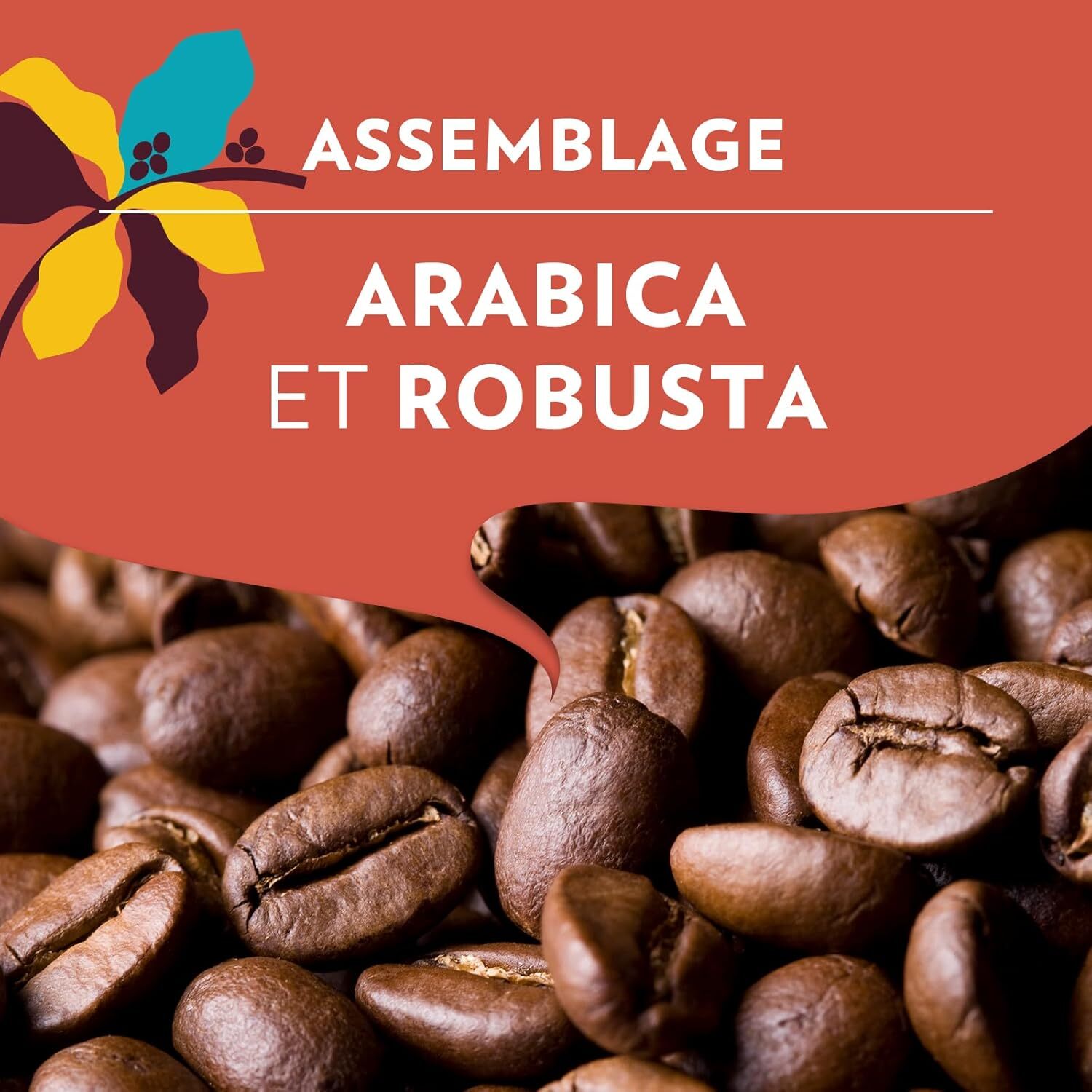 Grains Tales Of Roma 450G