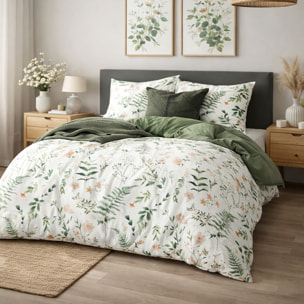 Parure housse de couette 100% coton - Lyken imprimé botanique vert
