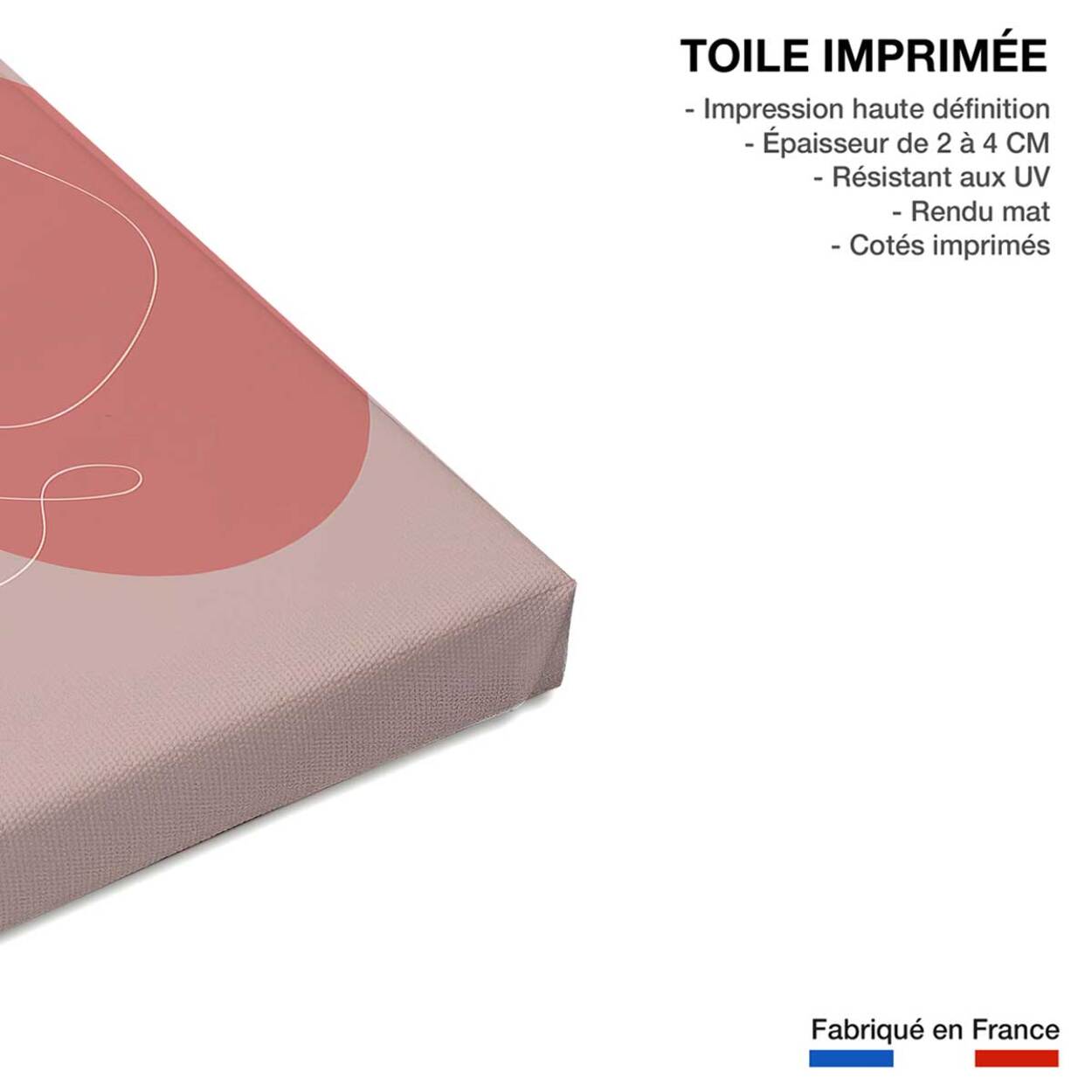Tableau Line art et courbe rose Toile imprimée