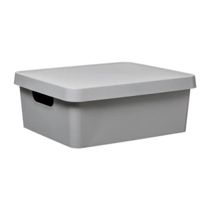 Boîte en plastique 11L Gris Mat