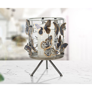 P/CAND FARFALLE CM 15X23,3