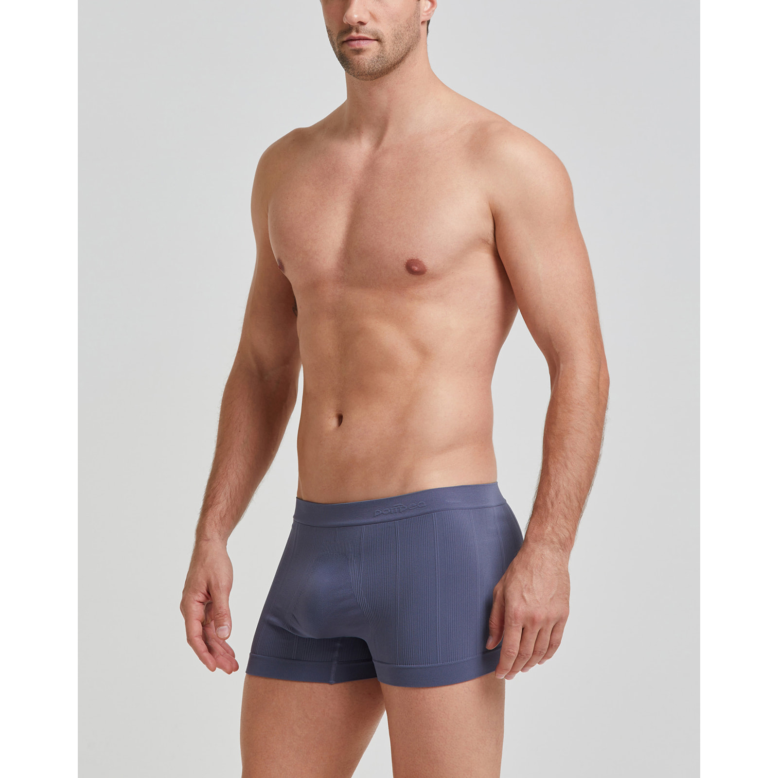Boxer coste new moving seamless