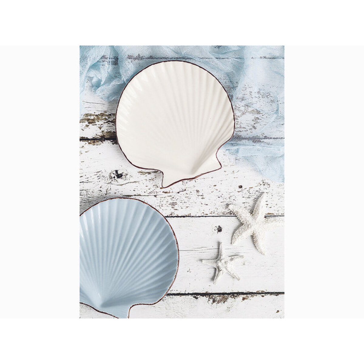Set 2 conchiglie Indaco