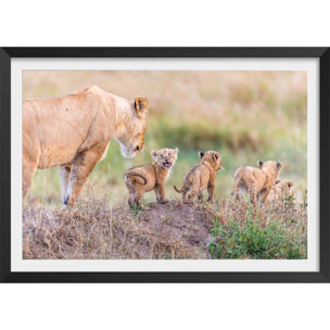 Affiche animaux let's go mom Affiche + cadre en bois - Noir