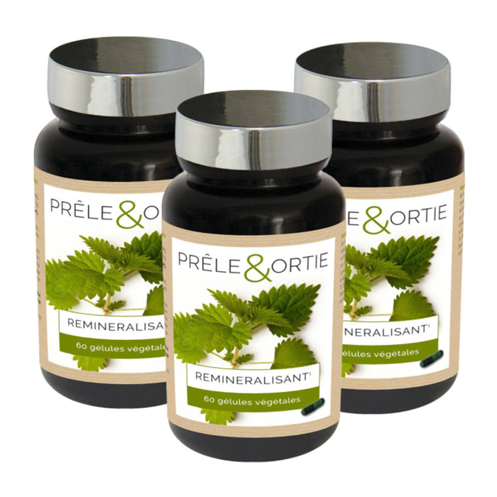 NUTRI EXPERT - Prêle & Ortie - Facilite l'élimination des toxines - Contribue au bon fonctionnement de l'organisme - Vegan - Marque Française - Extraits de plante - Lot de 3 piluliers
