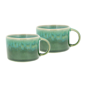 Set de 2 mugs avec anse Styles 16cl