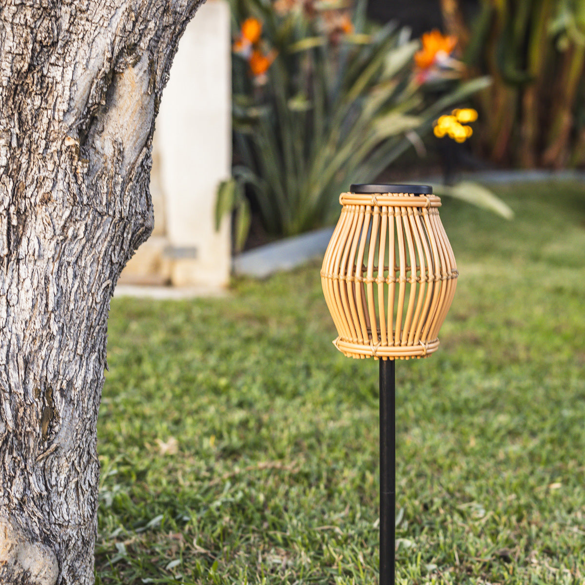 Balise solaire à piquer SILVINA H70CM