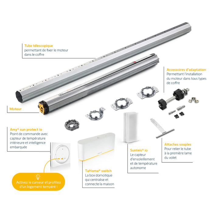 Kit motorisation fenêtre RMS 1700 + box TaHoma switch + Sunteis io