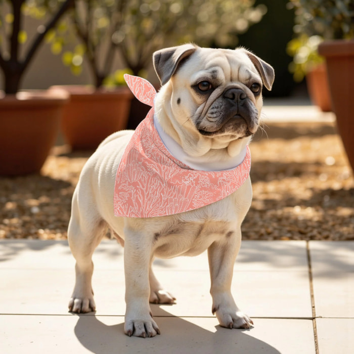 Pack de 2 bandanas pour animaux Estarit Corail