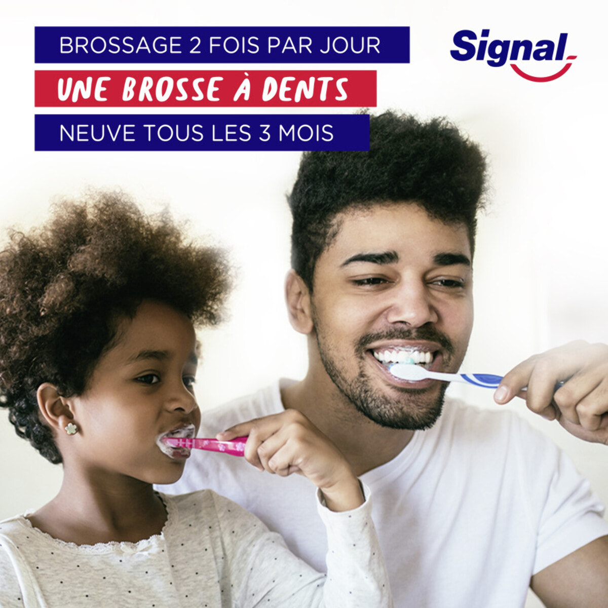 6 Brosses à Dents Signal Système Blancheur Infusé au Charbon Medium (Lot de 6 packs unitaires)