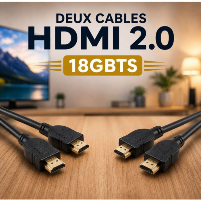 Câble HDMI ESSENTIELB x2 HDMI 2M noir droit 2.0
