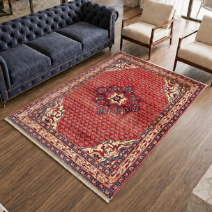 Tapis d'orient au motif oriental, noué main en laine, FIBISI