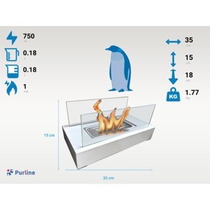 Cheminée à l'éthanol de table avec deux abat-jours en verre trempé