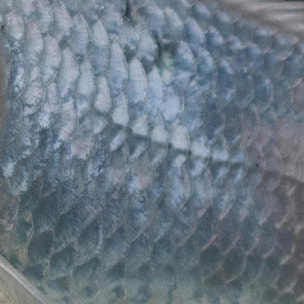 Housse de couette Calella Bleu 80 fils