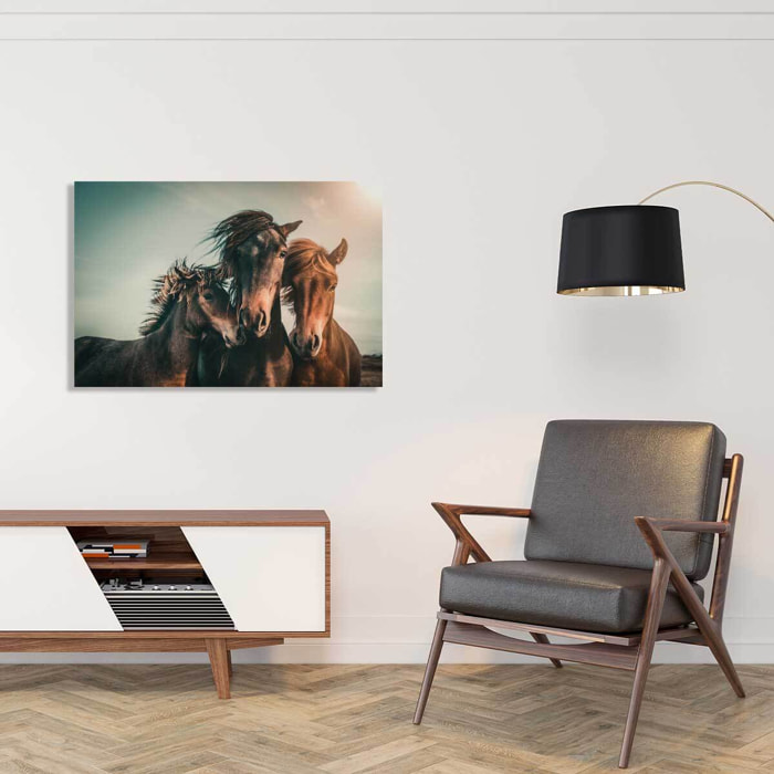 Tableau chevaux horse family  Tableau plexiglas
