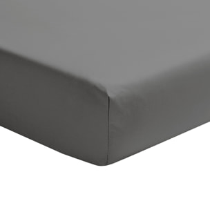 Drap housse uni têtes et pieds relevables en percale de coton, PREMIÈRE, Gris Basalte