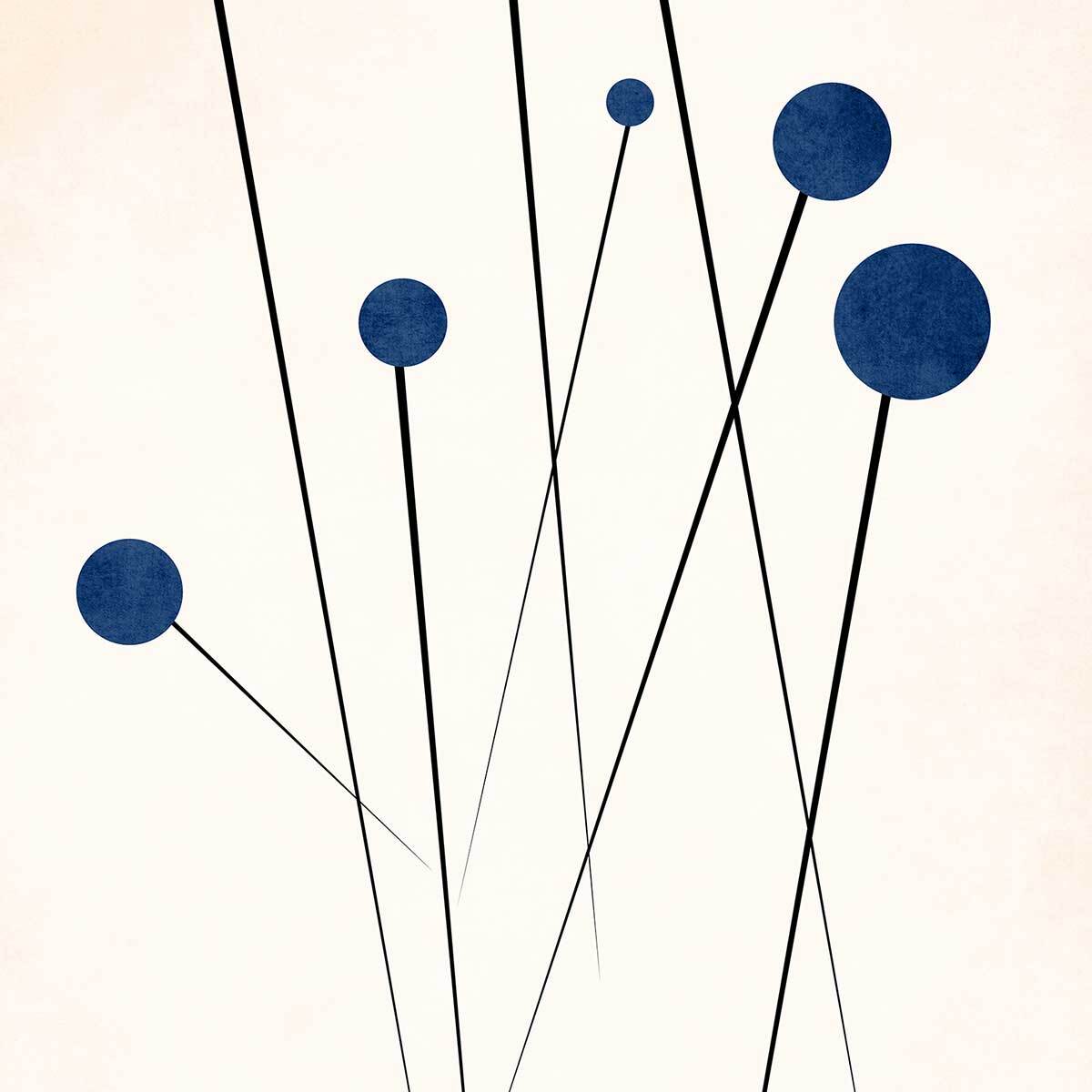 Affiche dessin ""fleurs de bleuets "" Affiche sous cadre bois