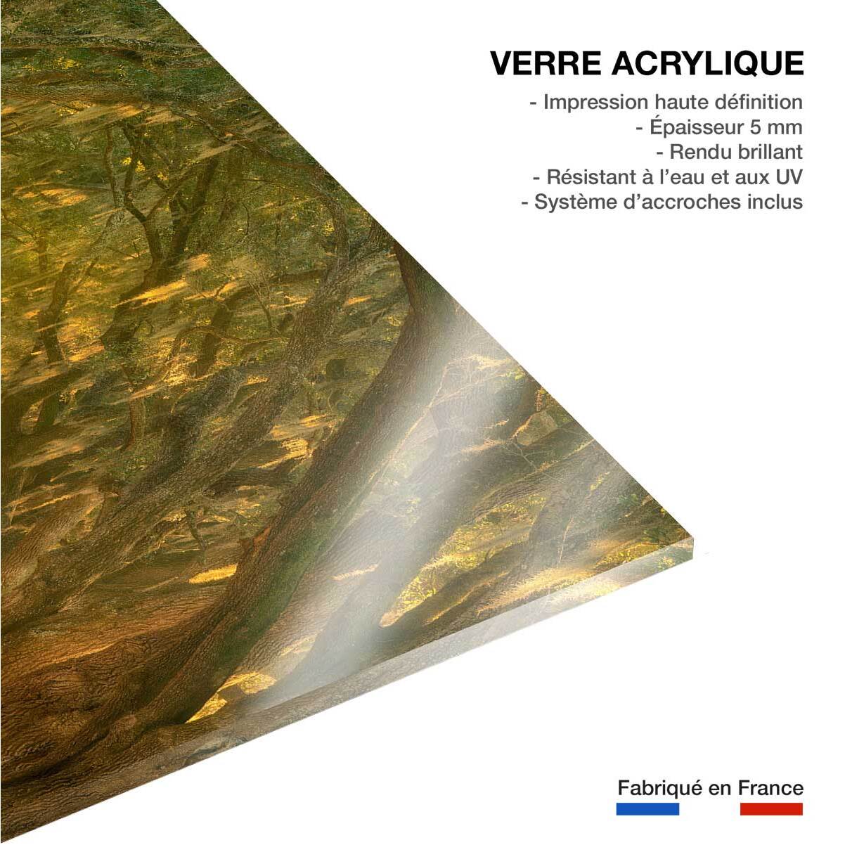 Tableau Allee enchanteresse Tableau plexiglas