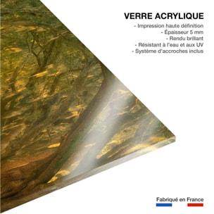 Tableau Allee enchanteresse Tableau plexiglas