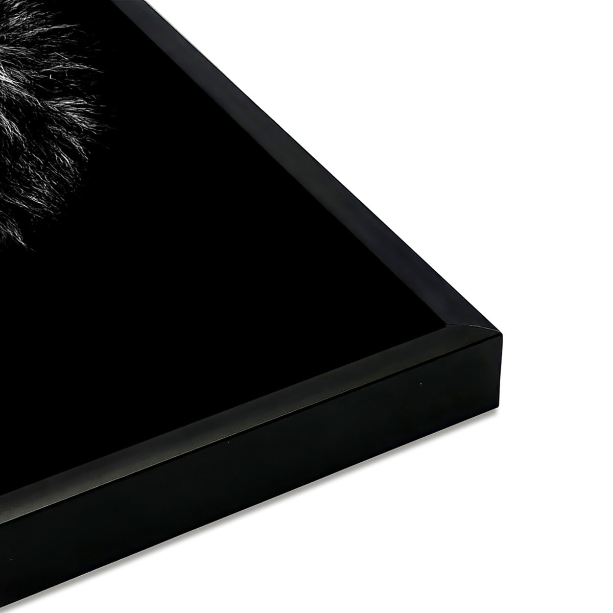 Affiche encadrée lion noir et blanc regard bleu Affiche + cadre en métal - Noir