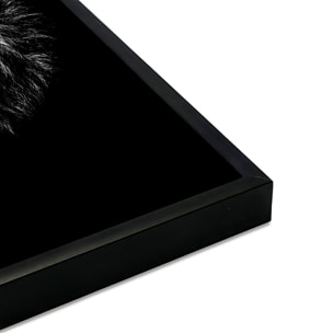 Affiche encadrée lion noir et blanc regard bleu Affiche + cadre en métal - Noir