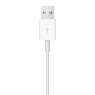 Chargeur induction APPLE pour Apple Watch 1M USB-A