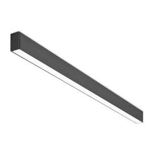 Forlight - Sistema lineal Ilo Aluminio, Policarbonato Negro, OPAL