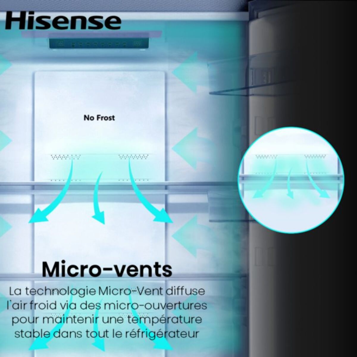 Réfrigérateur combiné HISENSE RB3N300NECA