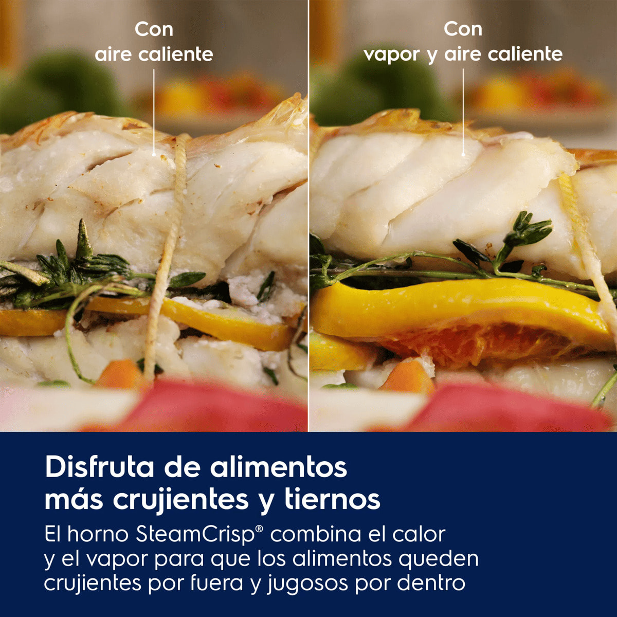 Electrolux Horno de vapor Serie 600 SenseCook con SteamCrisp con limpieza pirolítica EOC6P77X
