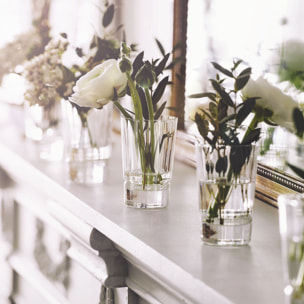 6 Vasos de chupito 6cl Macassar - Cristal d'Arques