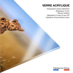 Tableau animaux brothers for the life Tableau plexiglas