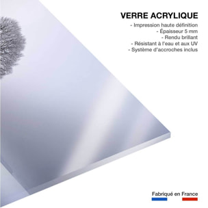 Tableau paysage Lumière d' hiver Tableau plexiglas