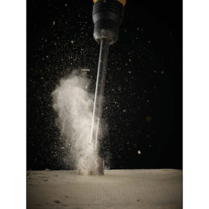 Burin plat SDS-MAX 360x50mm - DEWALT - DT6824-QZ