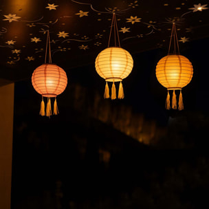 3 Lampion solaire SHANGRI LA D20CM