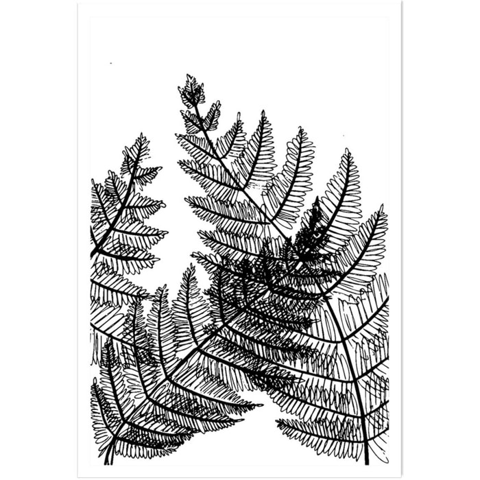 Poster landes fougères Affiche seule