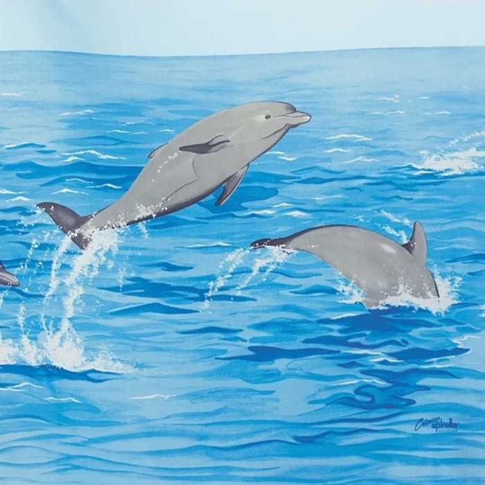 Rideau de douche Polyester NEMO Bleu motif dauphins Spirella