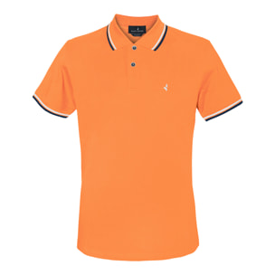 Polo Uomo NAVIGARE Cotone Piquet Taglie S / 7XL Art.NV82110