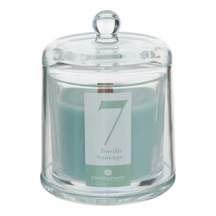 Bougie parfumée 238g Numia Basilic Sauvage
