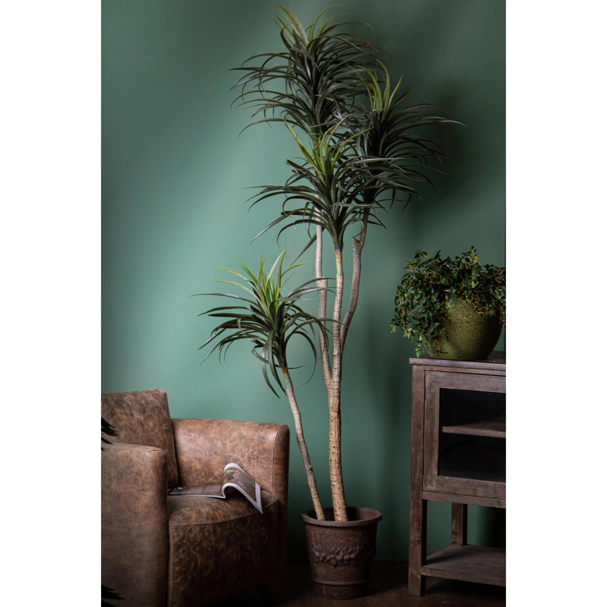 Nolina Recurvata H.210 Cm - Pezzi 1 - 80X210X80cm - Colore: Verde - Bianchi Dino - Piante Artificiali