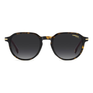 Gafas de Sol Carrera 376/S 086 de Acetato Hombre 50 mm