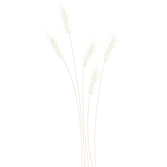 Tableau scandi blés Tableau alu Dibond