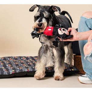 Cuerda Dental Para Perro Mickey Black