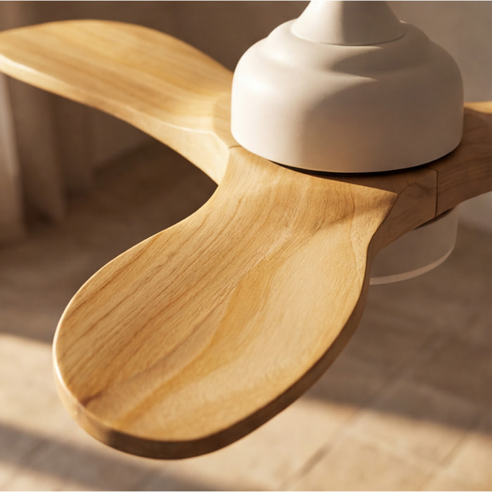 Forlight FORLIGHT Calar Ventilador de Techo con luz LED Silencioso con 5 velocidades,