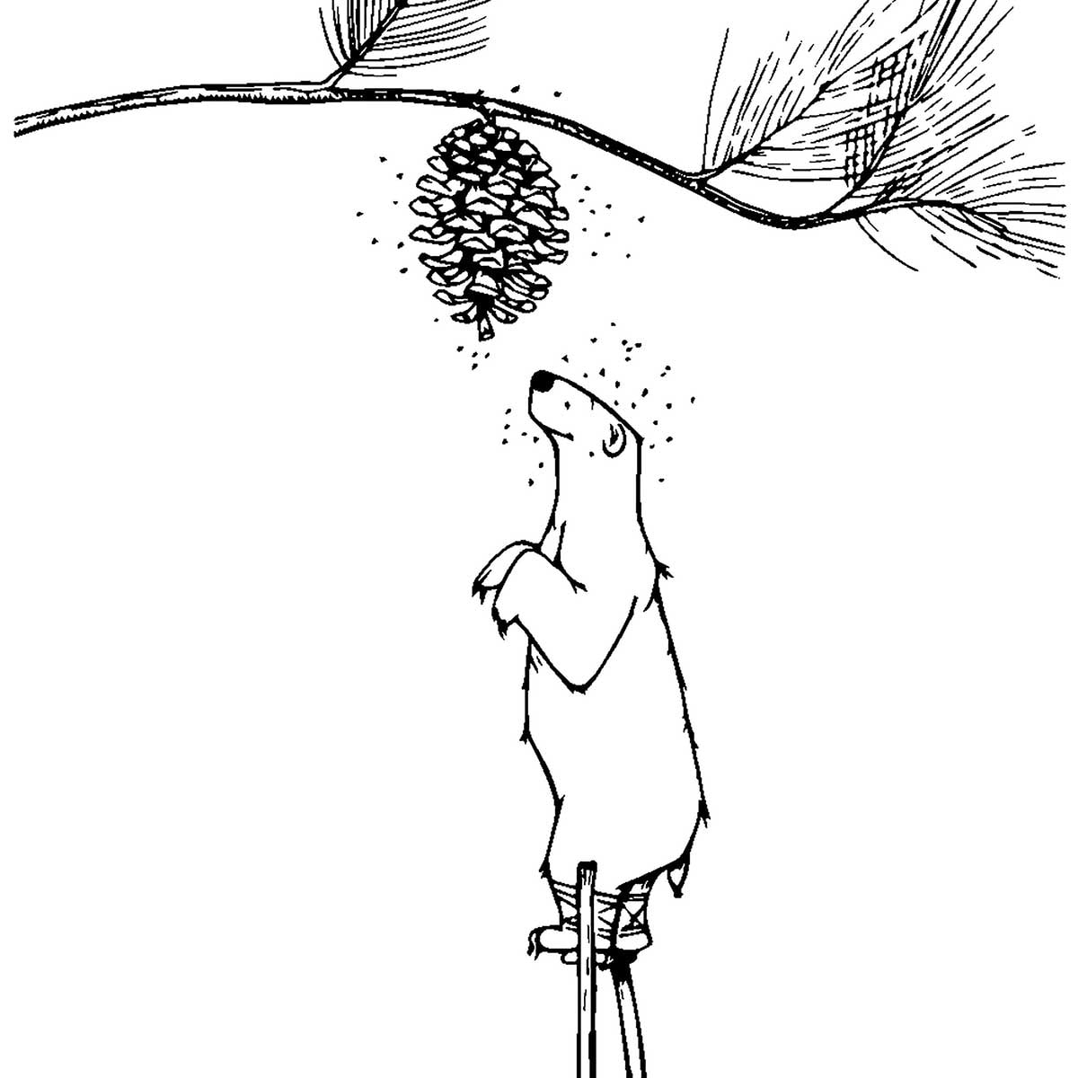 Tableau ours landais Tableau alu Dibond