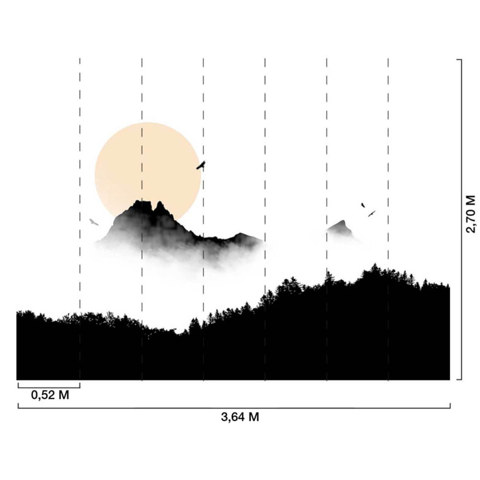 Papier peint Vol au dessus du Pic du Midi d' Ossau Intissé