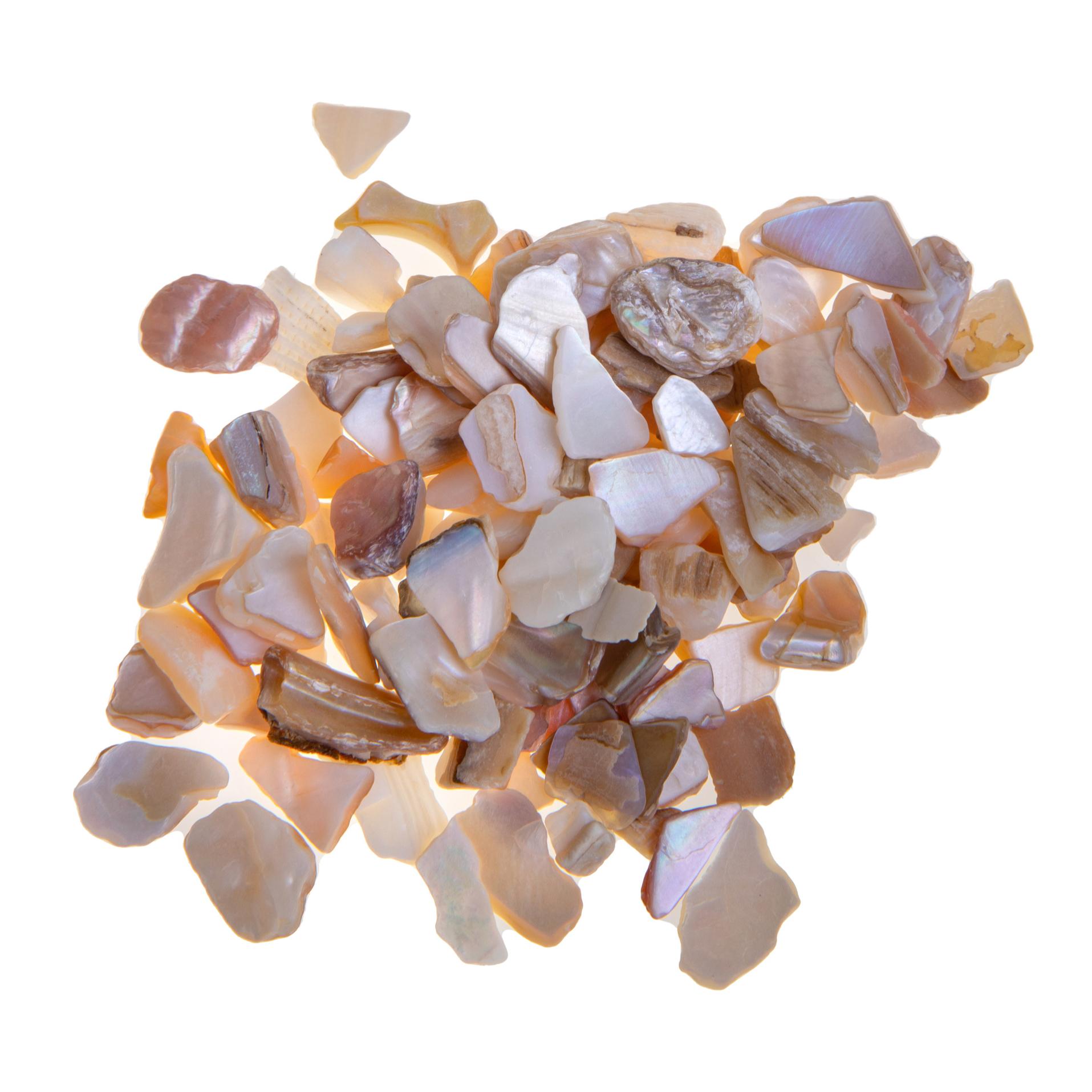 Giara Conchiglie Perl 550 Gr 4 - Pezzi 6 - Pezzi 8 - 6,5X14X6,5 - Colore: Naturale - Bianchi Dino