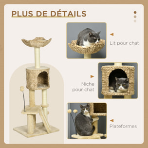 Arbre à chat style cosy chic griffoirs grattoir sisal naturel équipement multiple peluche jacinthe d'eau beige