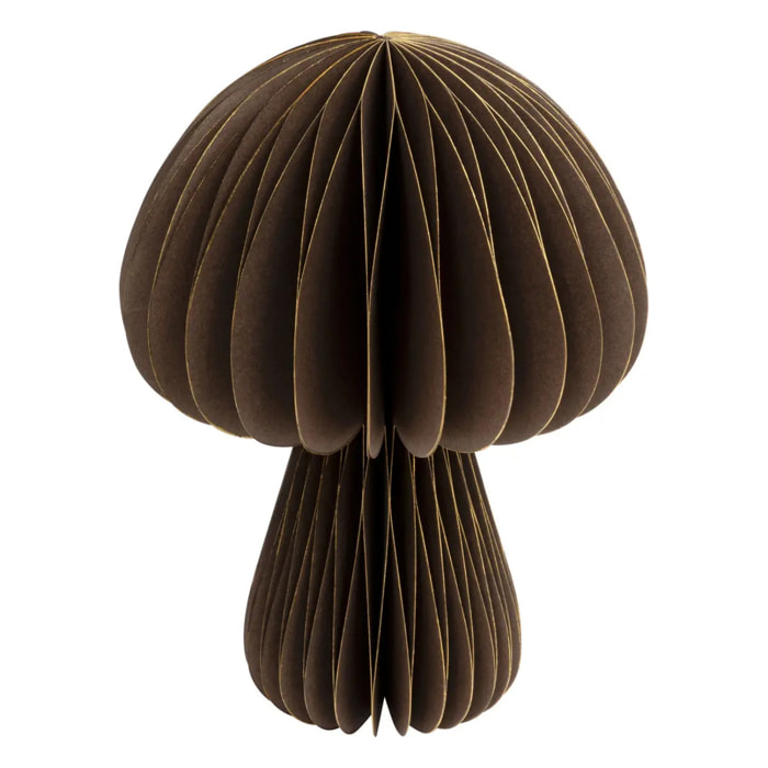 CHAMPIGNON PAPIER KAMI MAR H25